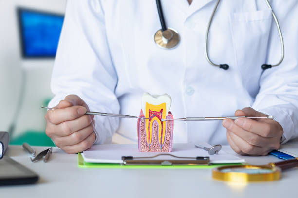 Best Broken or Chipped Tooth Repair in Astia, OR